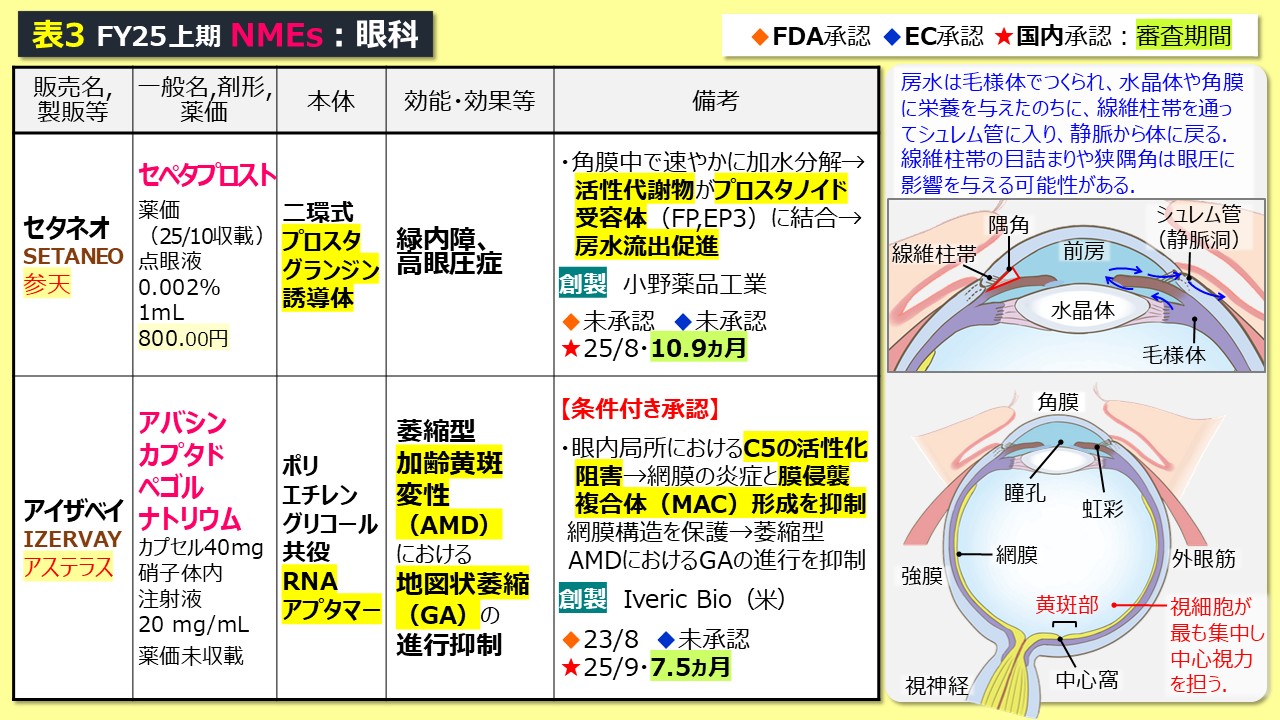 革新的医薬品 審査のポイント 日本の新薬❽25年度上期2】代謝、CNS、眼科等8品目 | 医薬経済オンライン
